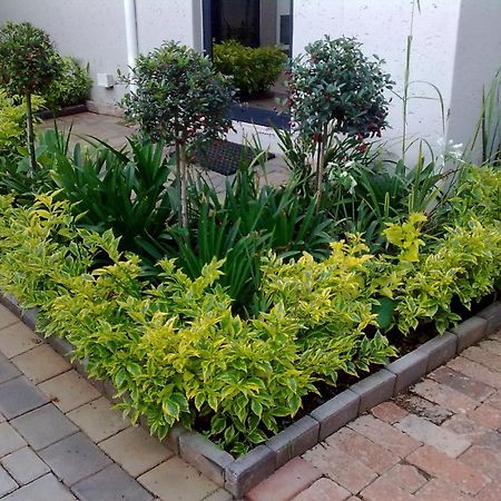 Rosebank Lodge Guesthouse By Claires Johannesburg Exteriör bild