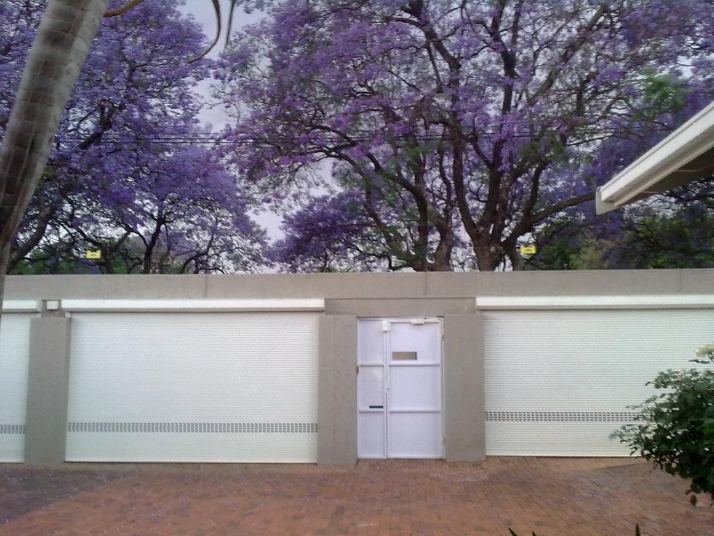 Rosebank Lodge Guesthouse By Claires Johannesburg Exteriör bild