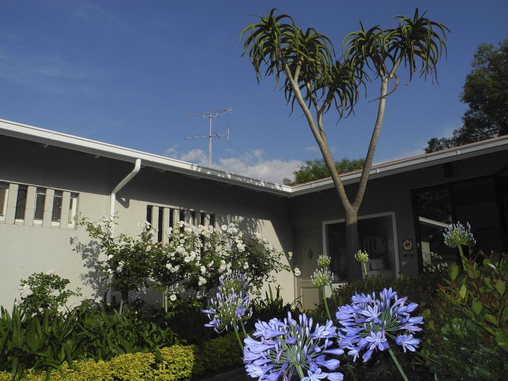 Rosebank Lodge Guesthouse By Claires Johannesburg Exteriör bild