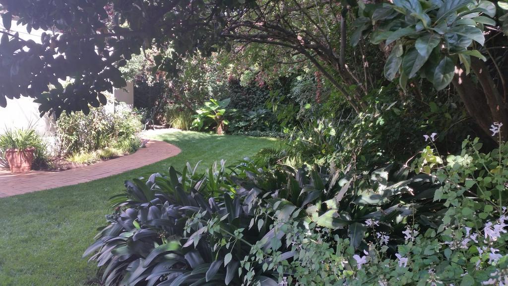 Rosebank Lodge Guesthouse By Claires Johannesburg Exteriör bild