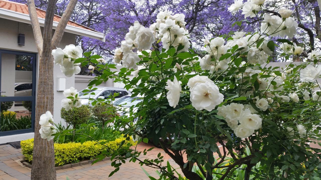 Rosebank Lodge Guesthouse By Claires Johannesburg Exteriör bild