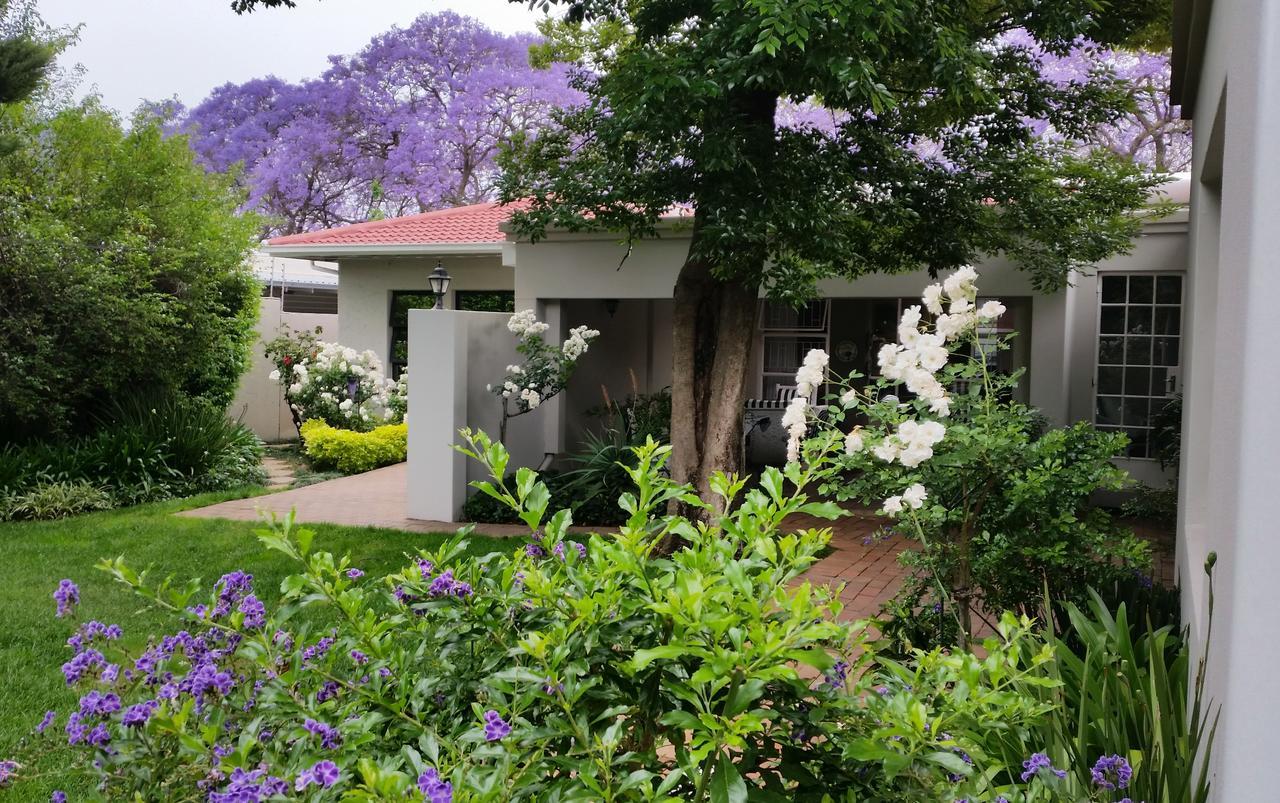 Rosebank Lodge Guesthouse By Claires Johannesburg Exteriör bild